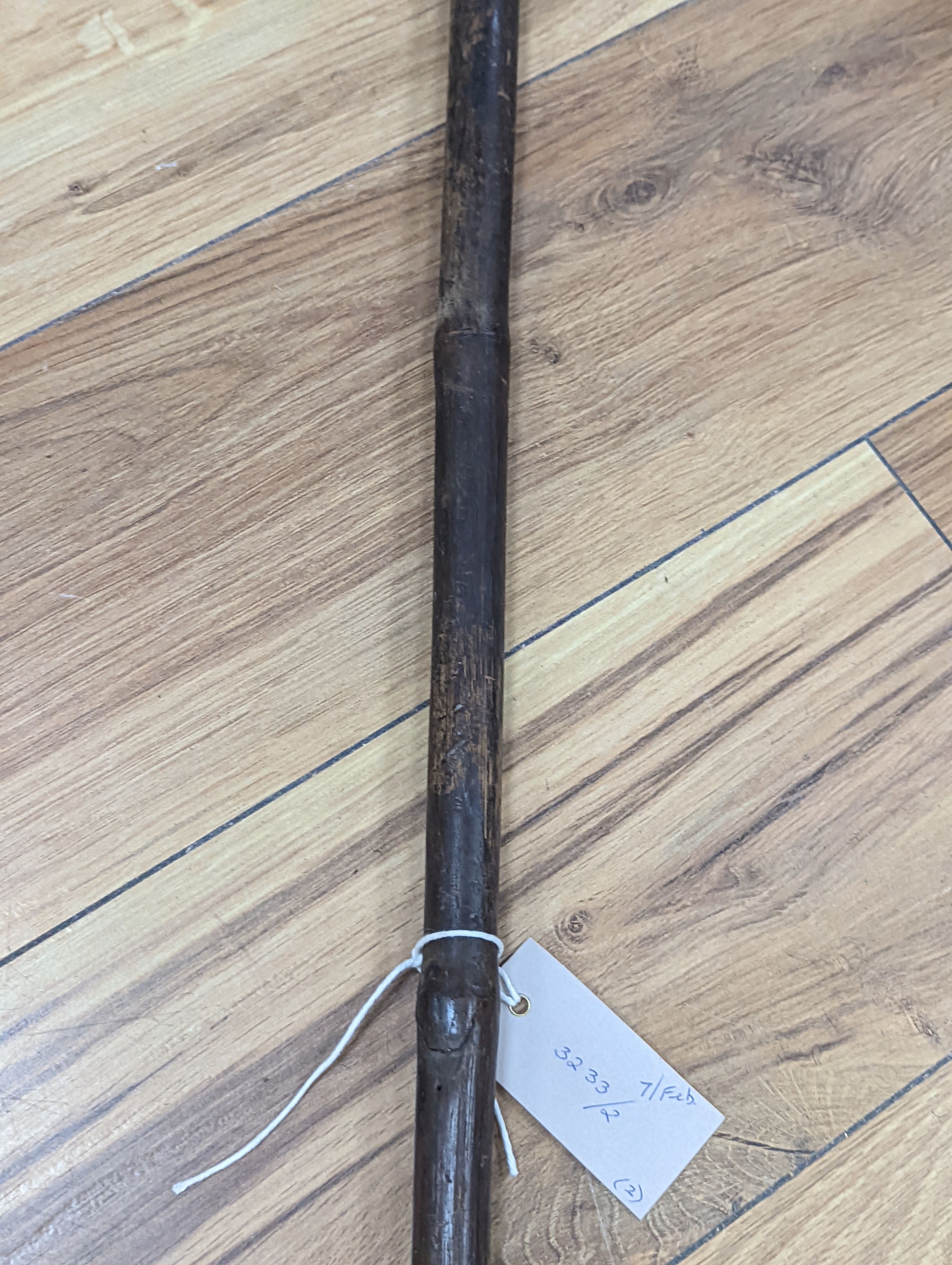 Two East Africa, Transvaal (Zululand) spears, 236cm